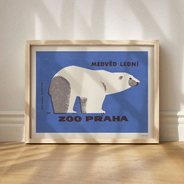 Limitovaný plakát 30x40 cm / Zoo Praha - Medvěd