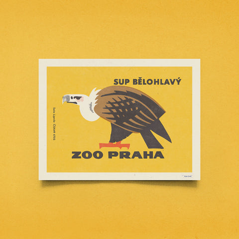 Limitovaný plakát 30x40 cm / Zoo Praha - Sup