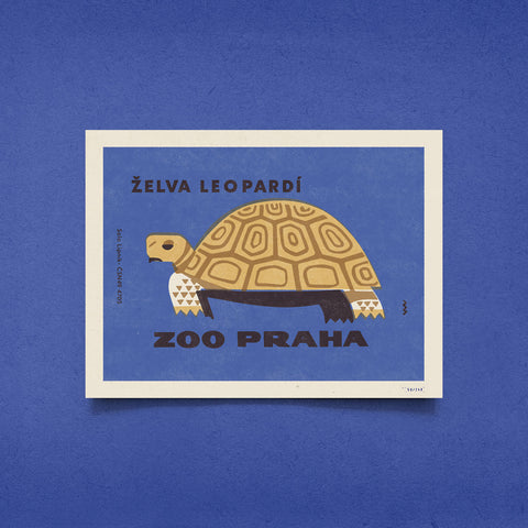 Limitovaný plakát 30x40 cm / Zoo Praha - Želva