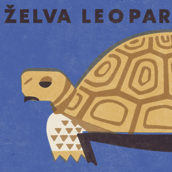 Limitovaný plakát 30x40 cm / Zoo Praha - Želva
