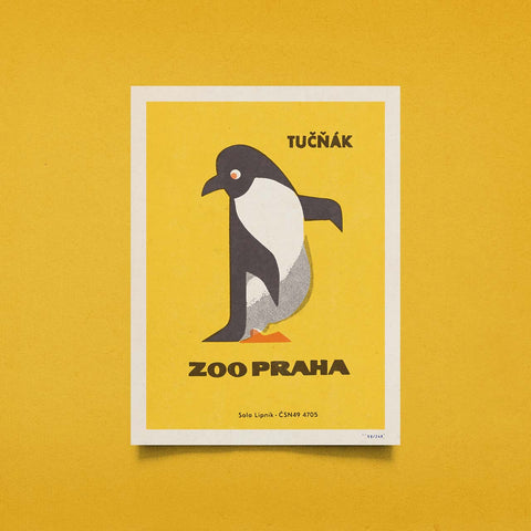 Limitovaný plakát 30x40 cm / Zoo Praha - Tučňák