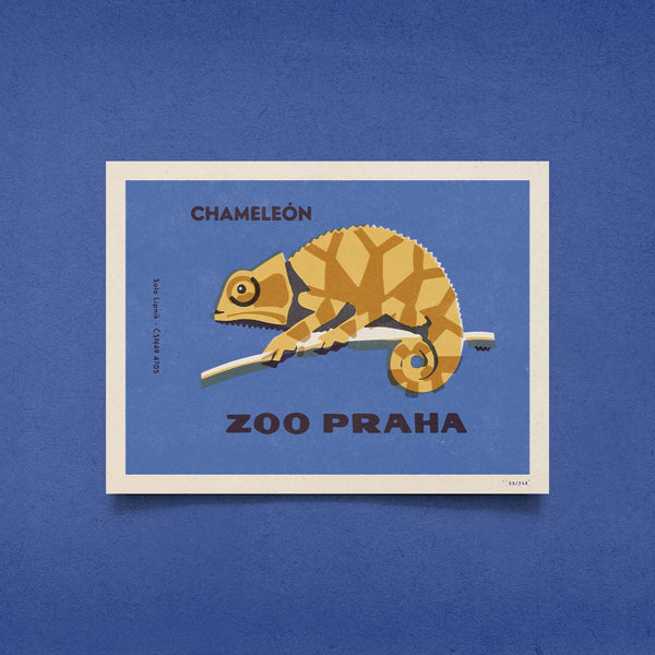 Limitovaný plakát 40x30 cm / Zoo Praha - Chameleón