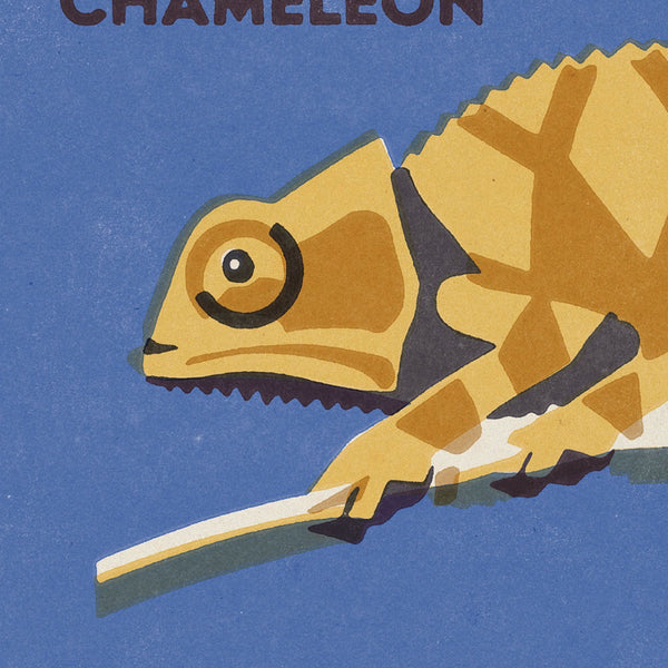 Limitovaný plakát 40x30 cm / Zoo Praha - Chameleón